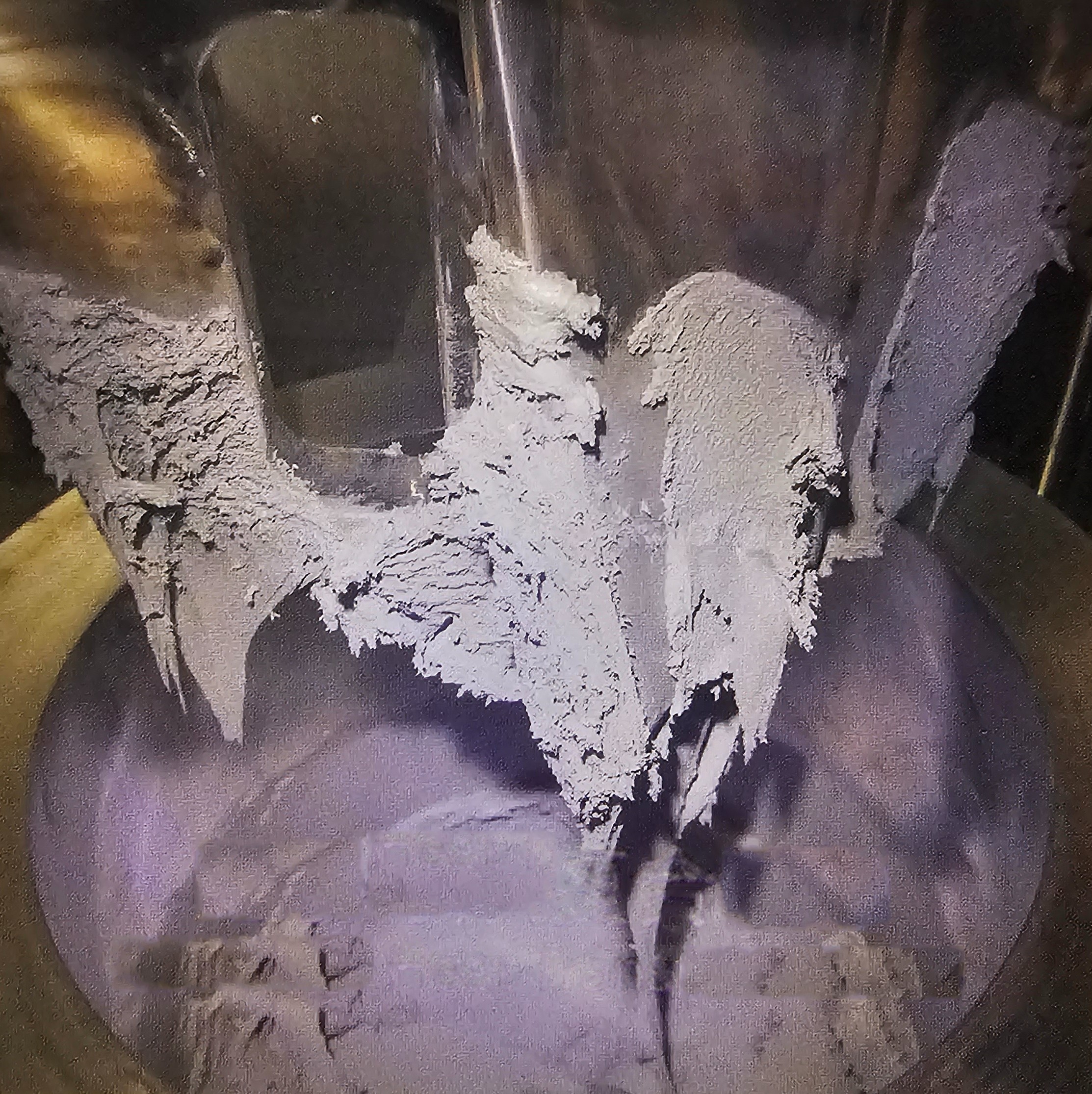 1716531312360737.jpg 1716531312360737.jpg